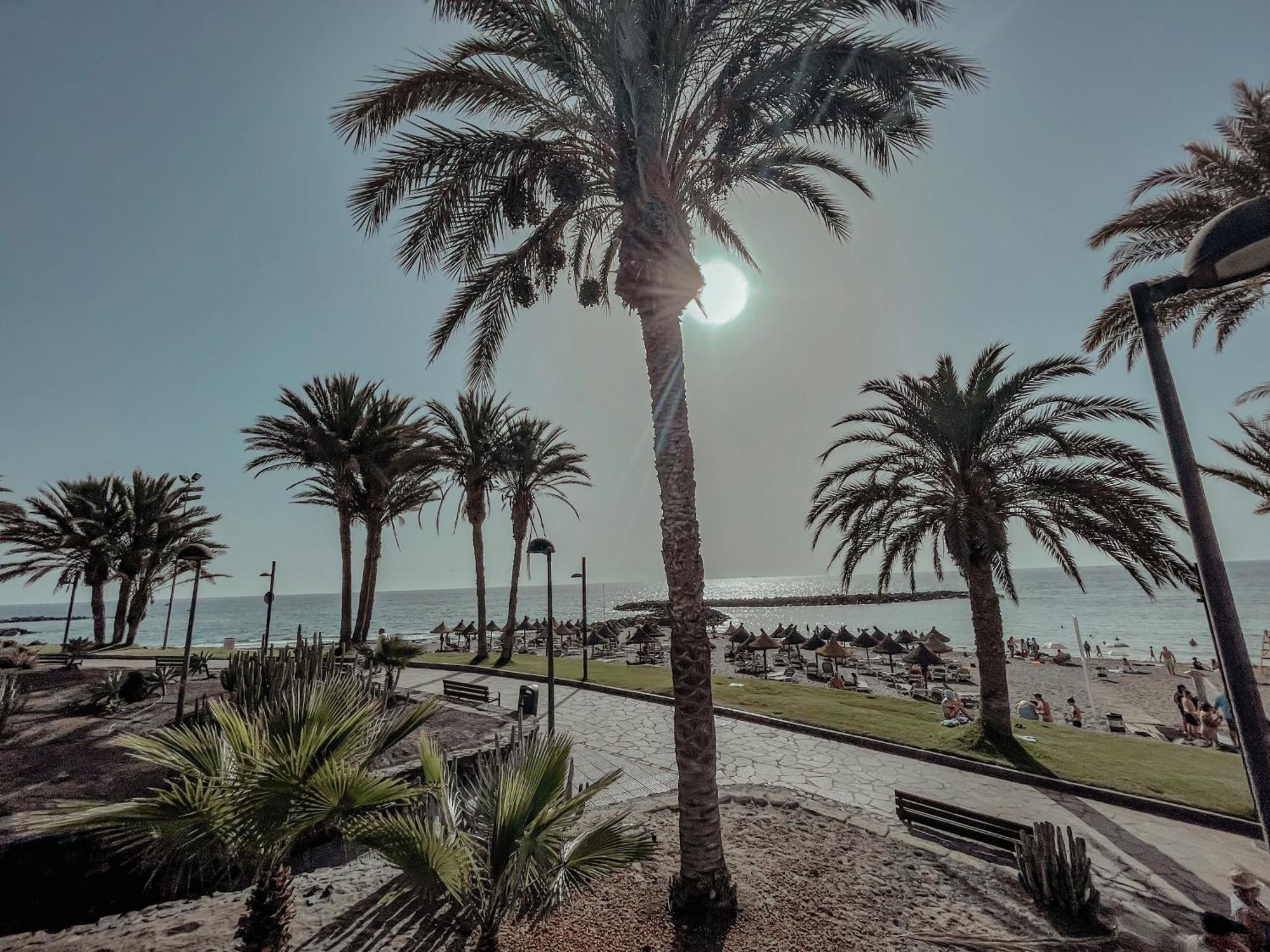 Ferienwohnung Viktoria Sur Playa de las Américas Exterior foto